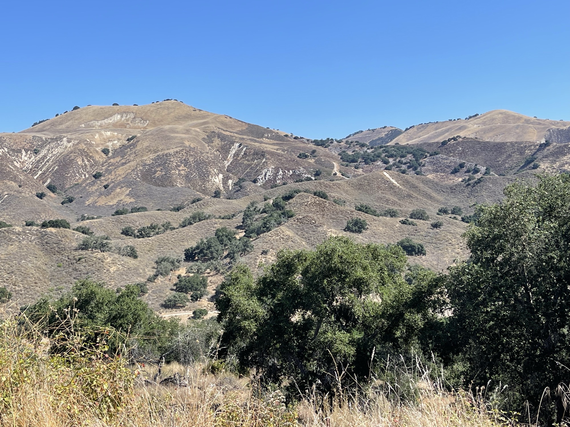 Foxen Canyon Road near Los Olivos, California — the heart of Santa Ynez Valley wine country