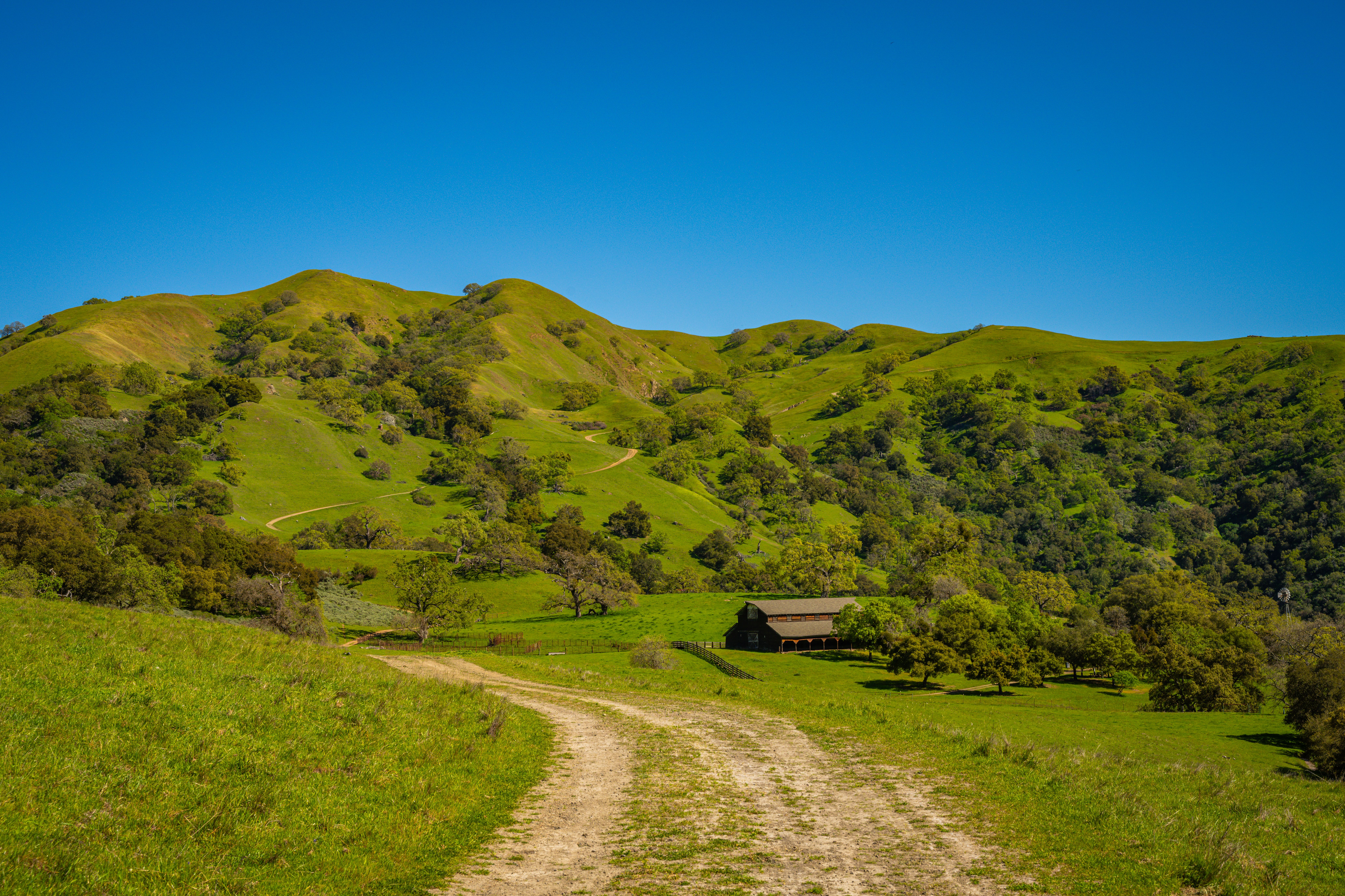 Santa Ynez Valley, California — rolling hills and vineyards